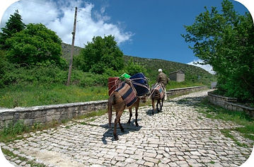 Camperrondreis door Griekenland met kust, bergen, natuur en wandelingen