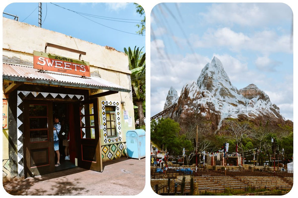 Disney’s Animal Kingdom Florida – safari’s, Pandora, Tree of Life en de mooiste attracties in Disney World Orlando