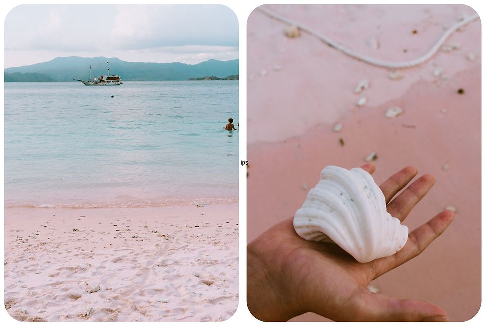 Ontdek de ultieme 3-weekse reisroute door Indonesië: van tempels en rijstvelden op Bali tot varanen en roze stranden in Komodo en authentiek Flores.