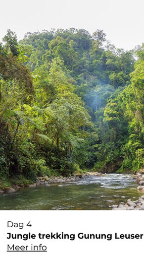 Avontuurlijke rondreis door Indonesië – hiking tussen jungle, vulkanen en rijstvelden, van Sumatra tot Bali - Trekking Gunung Leuser