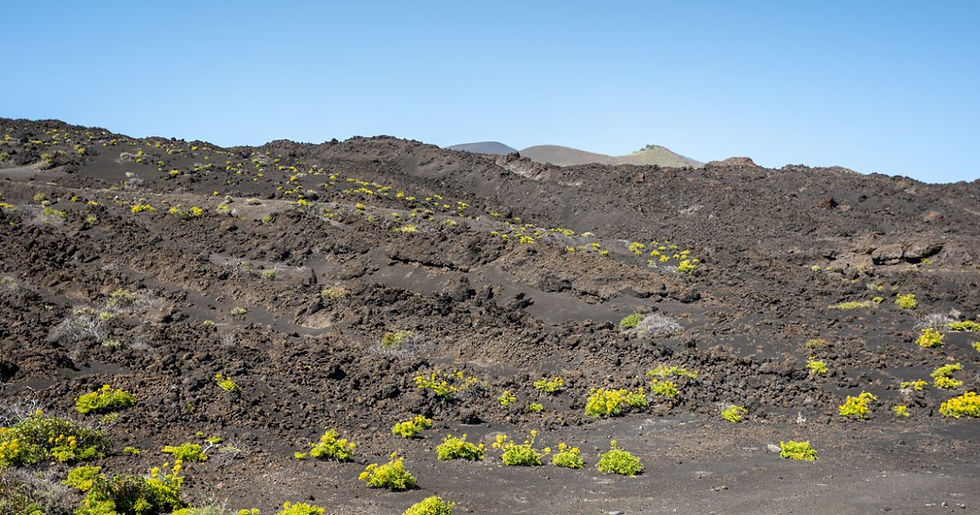Spectaculair uitzicht over de vulkanische kustlijn van Fuencaliente op La Palma tijdens winterzon wandelen