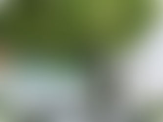 Amandaya Canggu: Jouw stijlvolle hideaway in Canggu