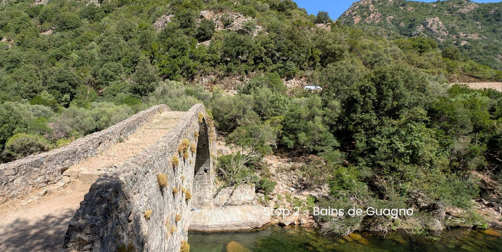 Corsica natuur met groene omgeving
