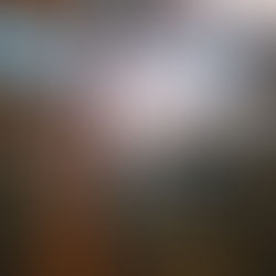 Roompot Bospark ’t Wolfsven, a place to relax