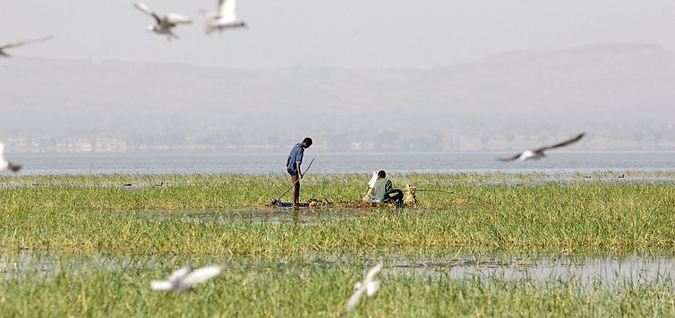 Rondreis door Ethiopië met hooglandplateaus, oude rotskerken, tradities en lokale cultuur – ontdekking en authenticiteit in é
