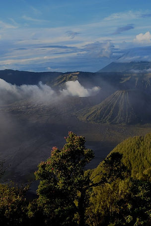 Rondreis door Sri Lanka met natuur, cultuur, theevelden, wildlife en tropische stranden.