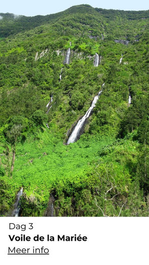 Natuurwandeling tijdens wandelvakantie Réunion
