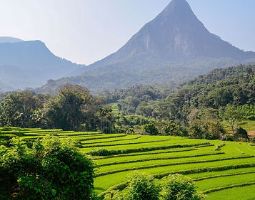 Kleine groep wandelreis overwinteren met Nederlandse begeleiding