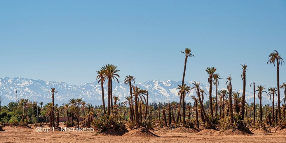 Actieve groepsreis Marokko met wandelingen en rustdagen – ReisActief x ReisZin