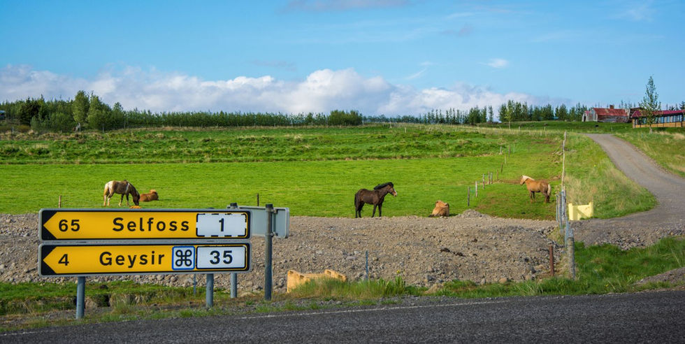 Actieve groepsreis door Zuid-IJsland met spectaculaire natuur