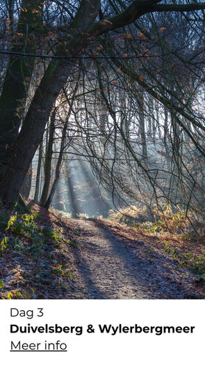 Wandelen door de Ooijpolder tijdens een actieve Oud & Nieuw vakantie