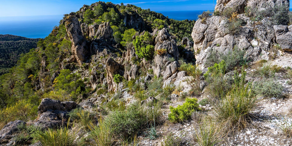 Wandelreis Nerja met ontspannen tempo en winterzon