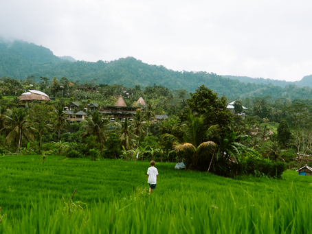 Sidemen, Bali – het groene geheim tussen de rijstvelden
