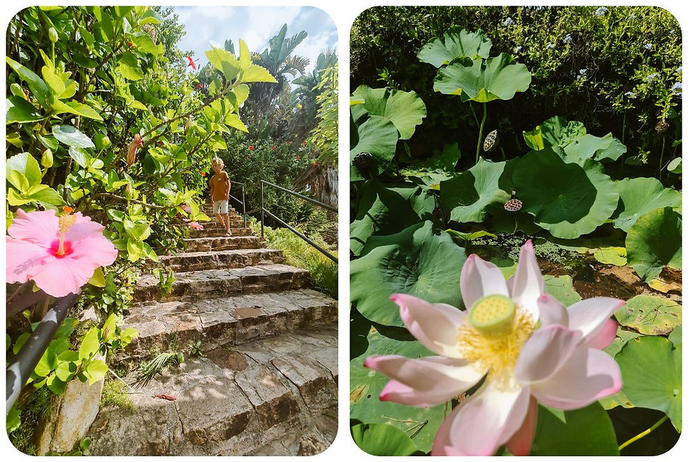 Uitzicht vanaf het Templet de Linne over de Middellandse Zee in Jardín Botánico Marimurtra, de botanische tuin op een klif in Blanes, Costa Brava.