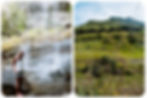 Safari in het Krugerpark tijdens een 2-weekse rondreis door Oost-Zuid-Afrika, met uitzicht op olifanten, savanne en blauwe lucht in Zuid-Afrika.