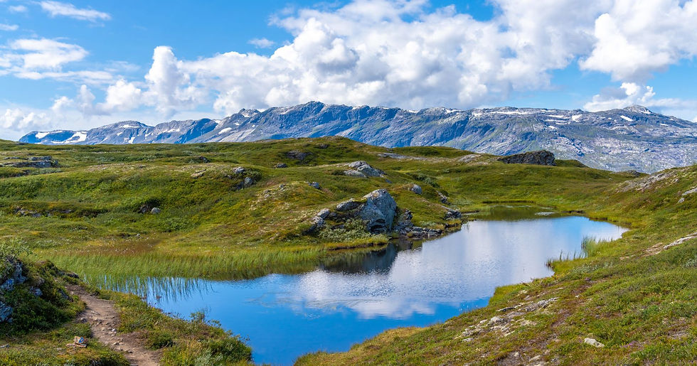 Wandelgroepsreis-Noorwegen-Hardangerfjord-ReisActief (78).jpg