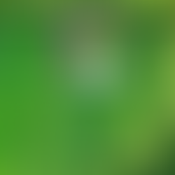 10x Bijzonder Slapen in Ubud – Dromen tussen Rijstvelden & Junglegeluiden