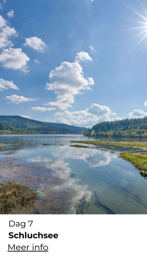 Wandelen langs beekjes in het Zwarte Woud
