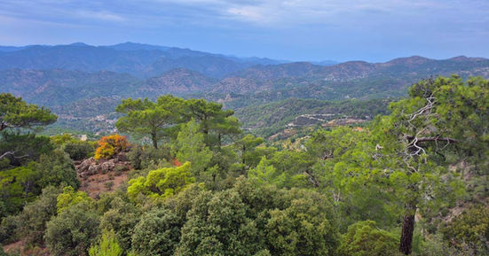 Ontspannen wandelvakantie Cyprus in het Troodosgebergte met bos en bergpaden