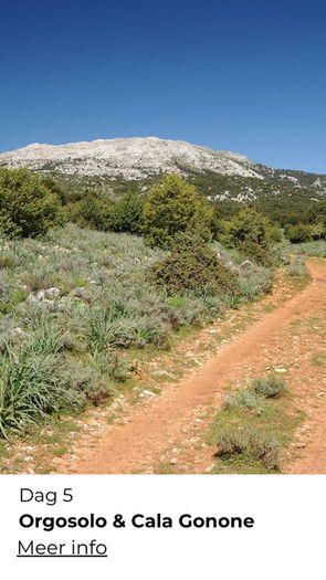 Actieve wandelvakantie op een van de mooiste eilanden van Italië