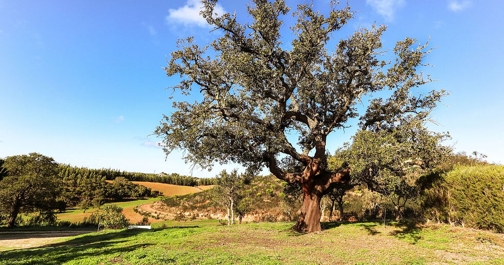 Kopie van Kleinschalige groepswandelreizen & actieve rondreizen - 2026-06-05T141959.638.jp