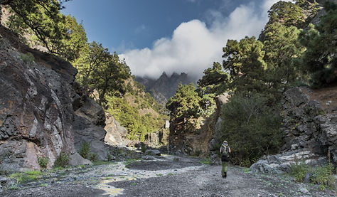 Actieve wandelreis door natuur, dorpjes en mooie wandelpaden