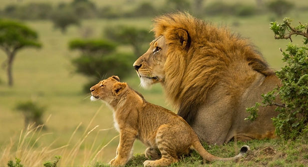 Kopie van Kopie van Ontwerp zonder titel - 2025-10-27T090920.853.jpg