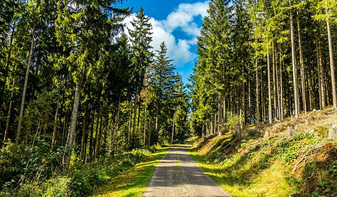 Groepswandelreis door mooie omgeving met afwisselende wandelroutes
