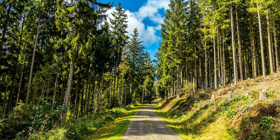 wandelroute Thüringer Wald langs bossen en heuvels