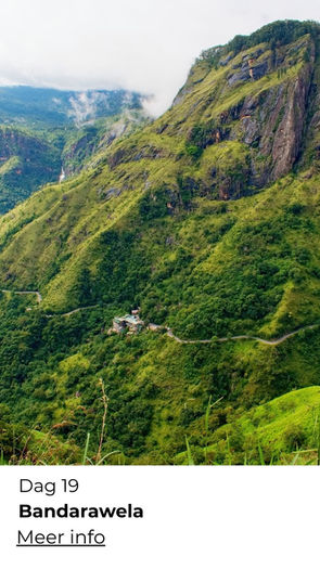 Wandelvakantie Sri Lanka voor actieve reizigers in de winter – ReisActief x ReisZin
