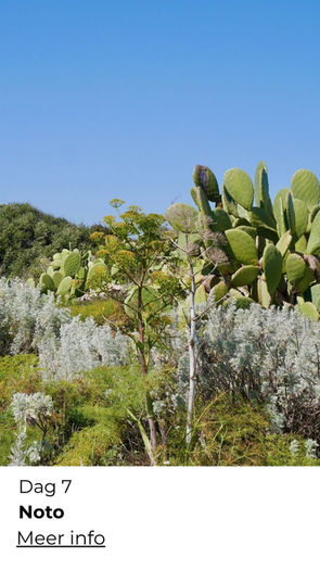 wandelreis Sicilië uitzicht over zee
