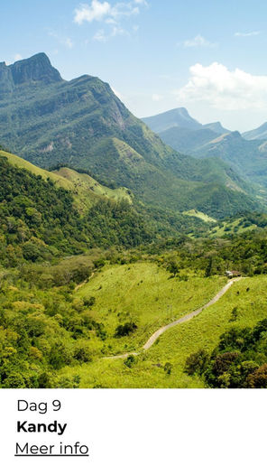 Actieve wandelvakantie Sri Lanka voor 50+, samen onderweg in de natuur – ReisActief x ReisZin