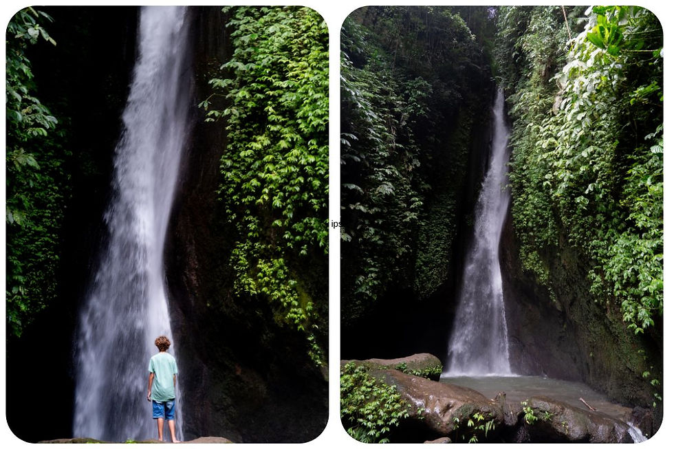 Waterval in Bali met groene jungle op de achtergrond – een van de mooiste watervallen uit de top 10 die je niet mag missen tijdens je rondreis Bali