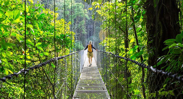 Actieve rondreis door Costa Rica met nevelwoud, actieve vulkanen, jungle-wildlife & tropische kust – avontuur en natuur in één.