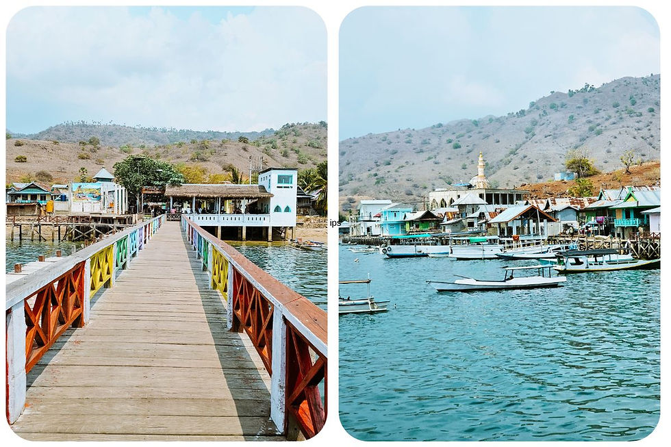 Uitzicht op Komodo Eiland in Indonesië met roze strand, heuvels en helderblauw water – dé must-see bestemming vol avontuur en natuur