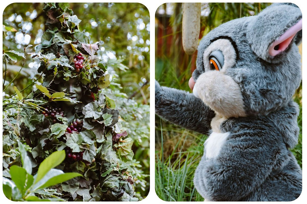 Disney’s Animal Kingdom Florida – safari’s, Pandora, Tree of Life en de mooiste attracties in Disney World Orlando