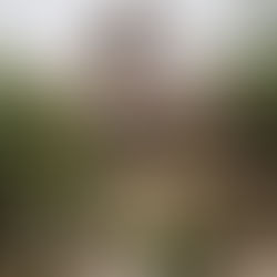 10x Bijzonder Slapen op Cozumel – Unieke Accommodaties voor een Droomvakantie