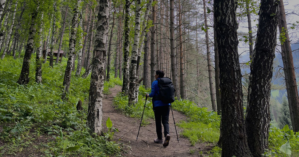 Wandelvakantie in het Zwarte Woud met bossen en panoramische wandelroutes in Duitsland
