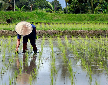 Groepswandelreis in de winterzon met comfortabele hotels onderweg – ReisActief x ReisZin