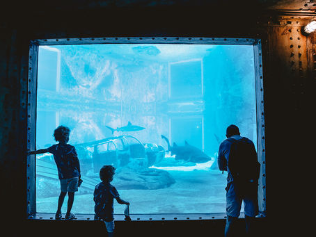 Splashing around in uShaka Marine World