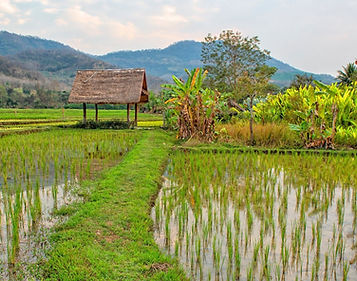 Overwinteren Afrika met actieve wandelreizen en safari