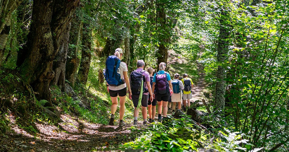 Wandelreis in Europa door bergen, natuur en rustige wandelpaden met mooie uitzichten