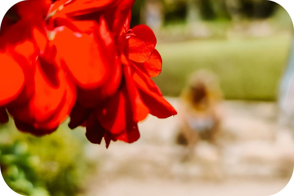 Uitzicht vanaf het Templet de Linne over de Middellandse Zee in Jardín Botánico Marimurtra, de botanische tuin op een klif in Blanes, Costa Brava.