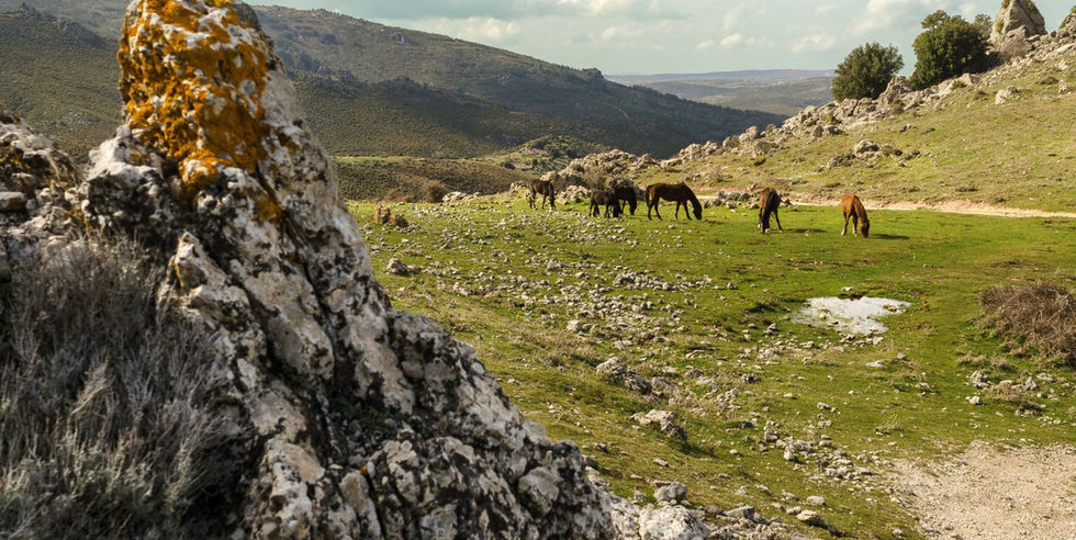 Natuur, rust en wandelen op Sardinië