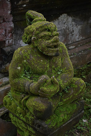 ReisZin Indonesië I Snorkelen & Duiken, manta's, koraal & tropische eilanden