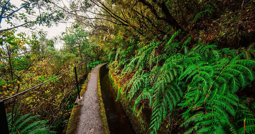 Actieve wandelreis op Madeira met uitzicht op de bergen, valleien en de Atlantische Oceaan
