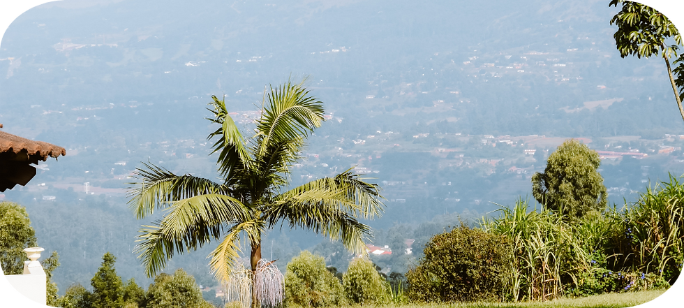 Uitzicht vanaf Mountain Inn Swaziland over de groene Ezulwini Vallei – perfecte overnachtingsplek tijdens je rondreis door Zuid-Afrika en Eswatini
