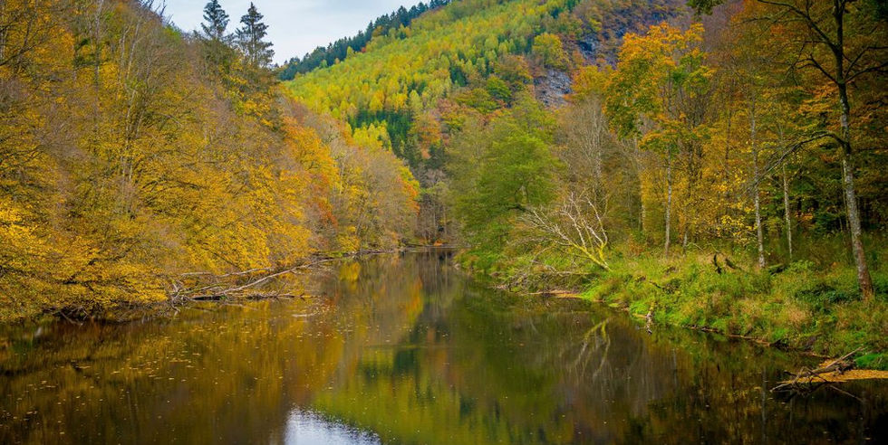 Herfstwandeling in de Luxemburgse Ardennen