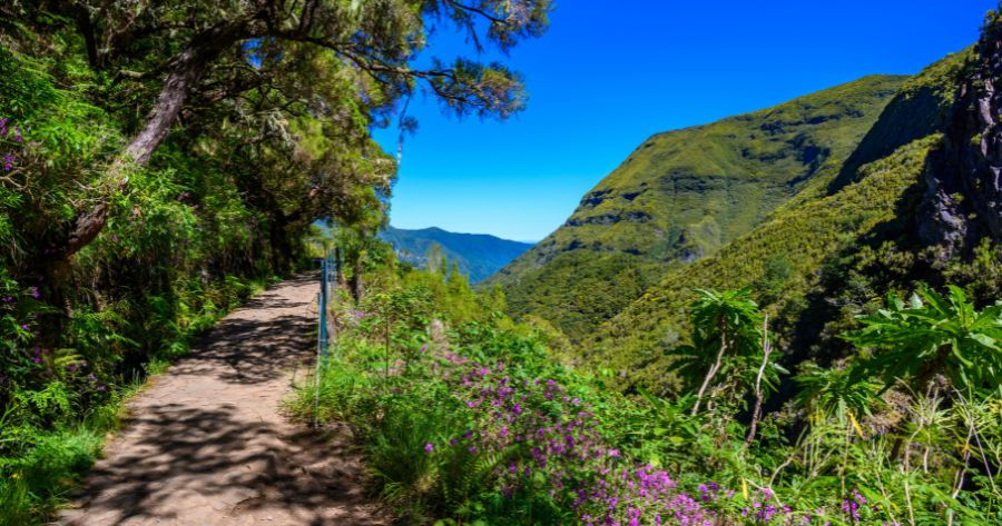 Eén van de beste wandelroutes op Madeira voor liefhebbers van natuur, levadawandelingen en bergwandelingen