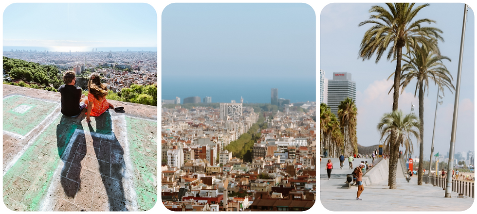 Een perfecte dag in Barcelona vol bezienswaardigheden, lokale hotspots, wandelroutes en culinaire tips – alles wat je wilt zien, doen en proeven in 24 uur